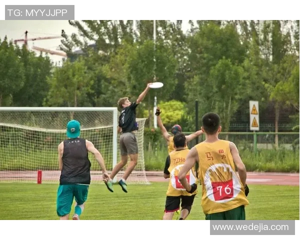 对话杨强：探索飞盘运动的魅力与挑战之旅